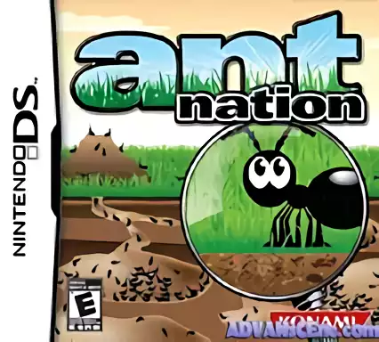 Image n° 1 - box : Ant Nation